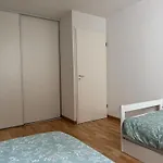 Apartment Confort Avec Parking Prive *