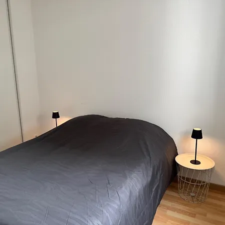Confort Avec Parking Prive Апартаменты Монрежо