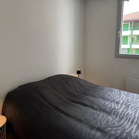 Confort Avec Parking Prive Монрежо